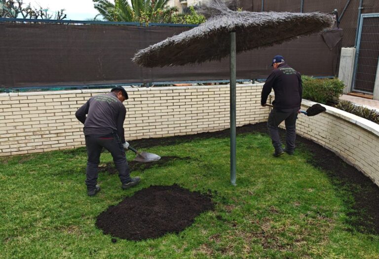 mantillo para el césped