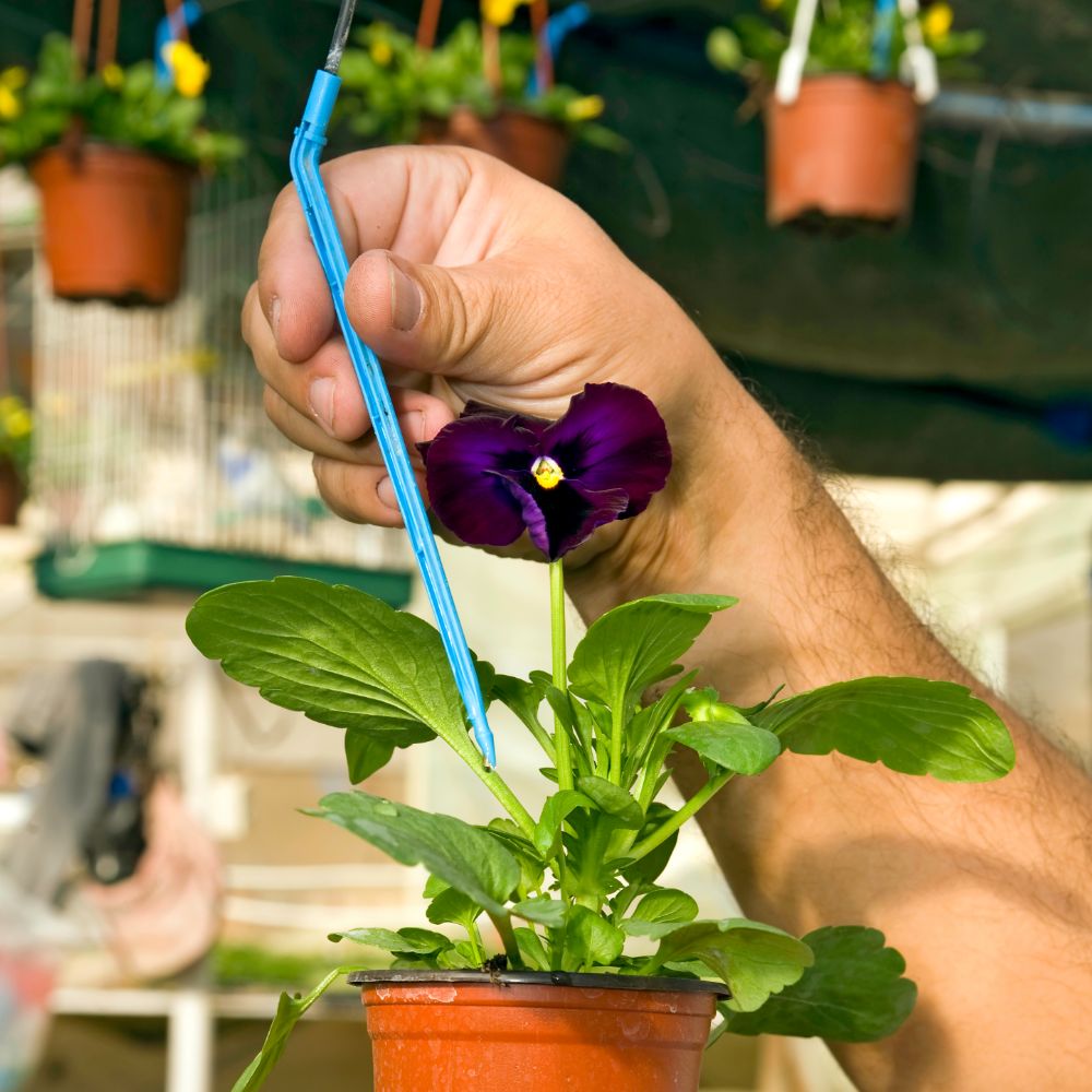 kit autorriego para macetas