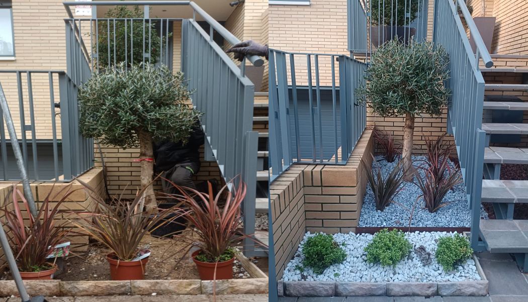 jardines ornamentales con piedras