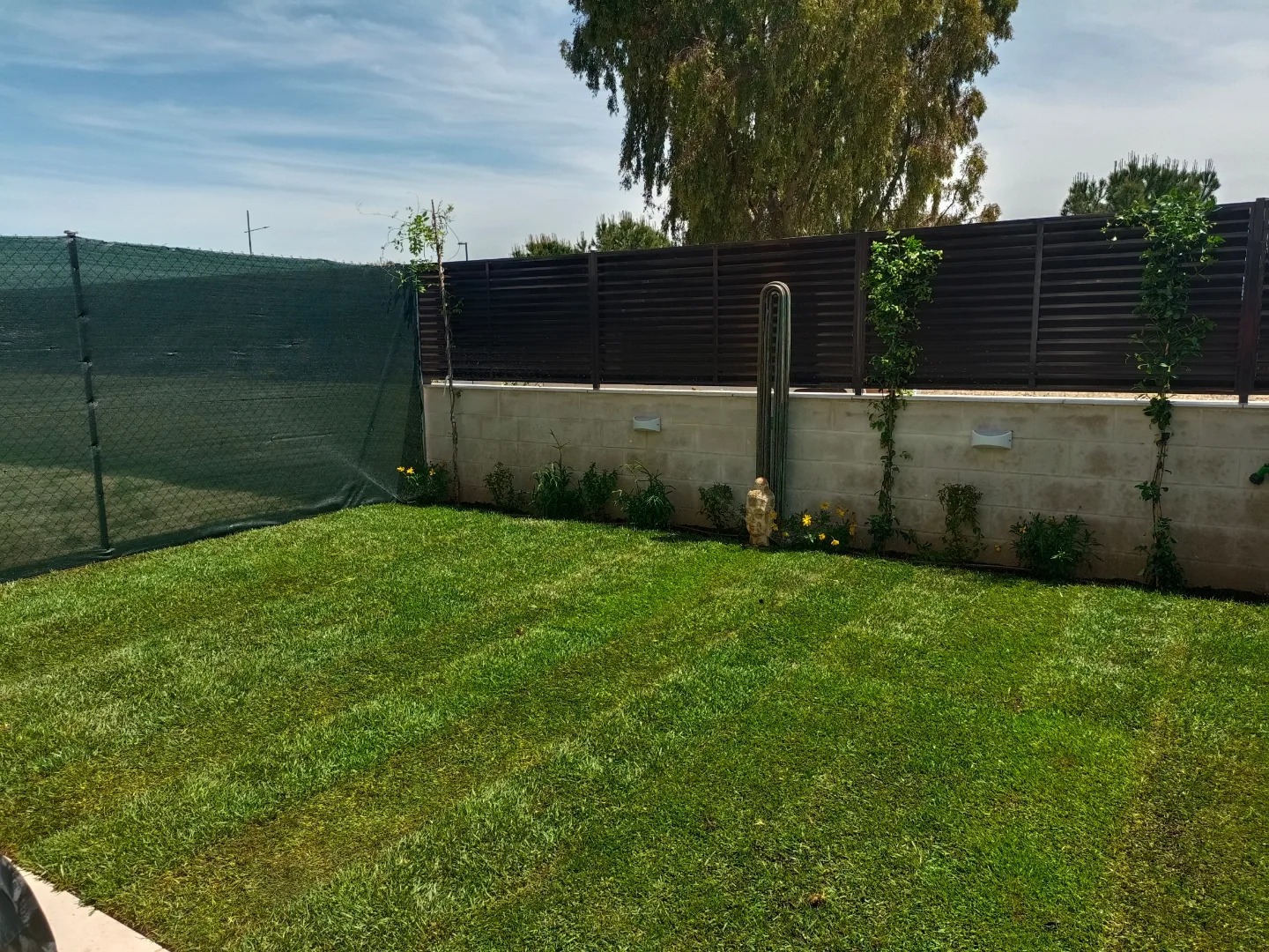 tierra para sembrar césped 