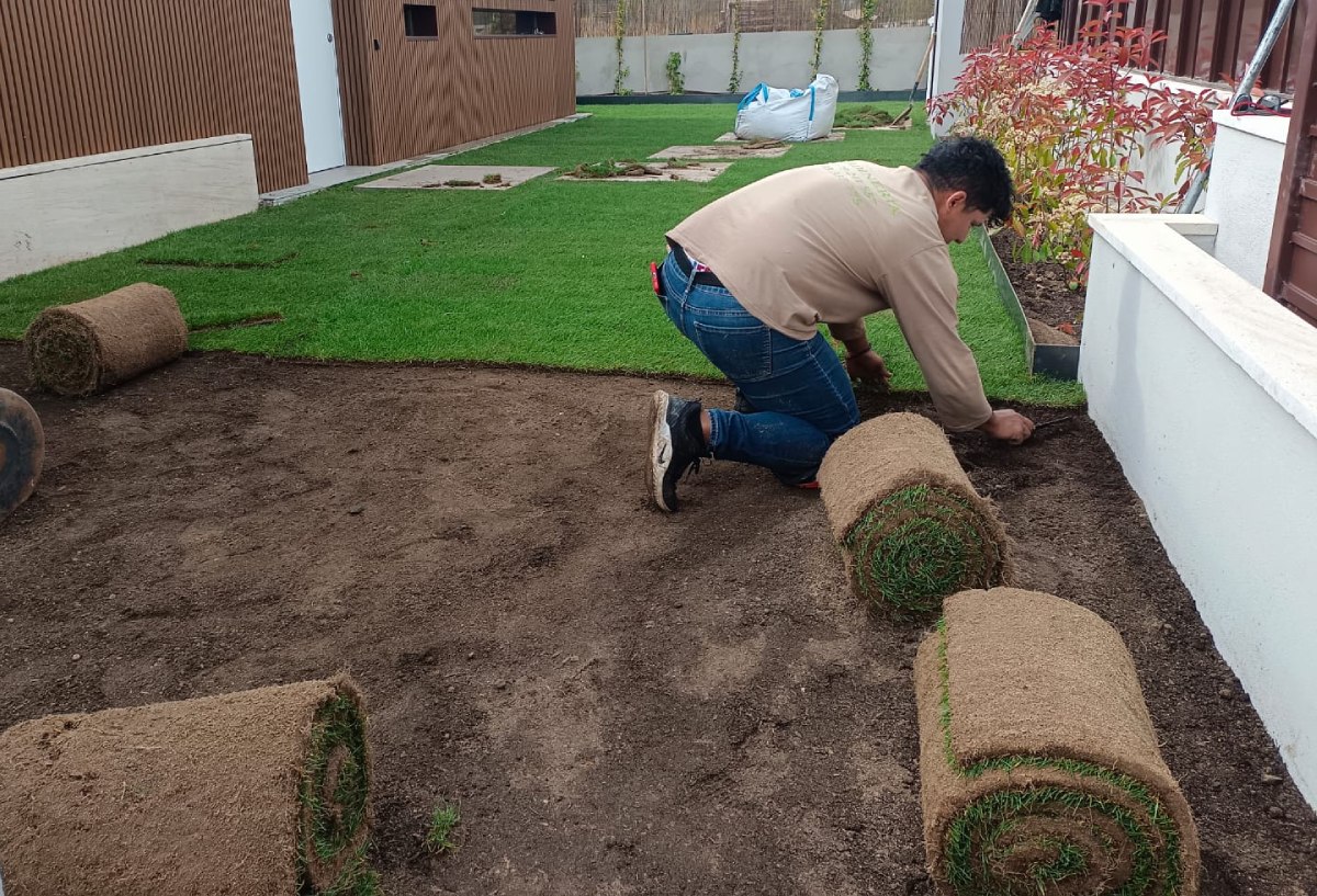 plantar césped natural en rollos