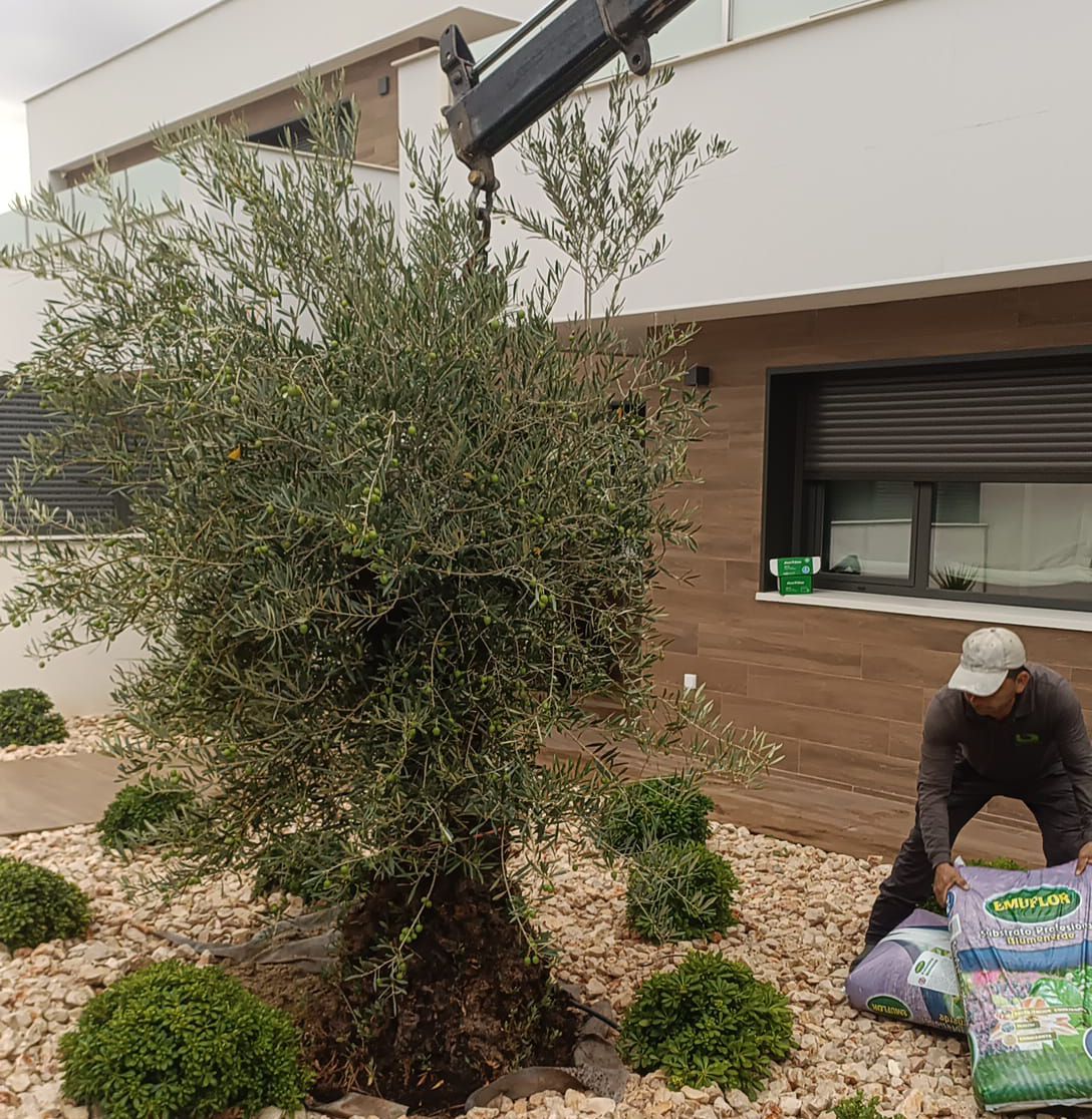 cómo crear una rocalla