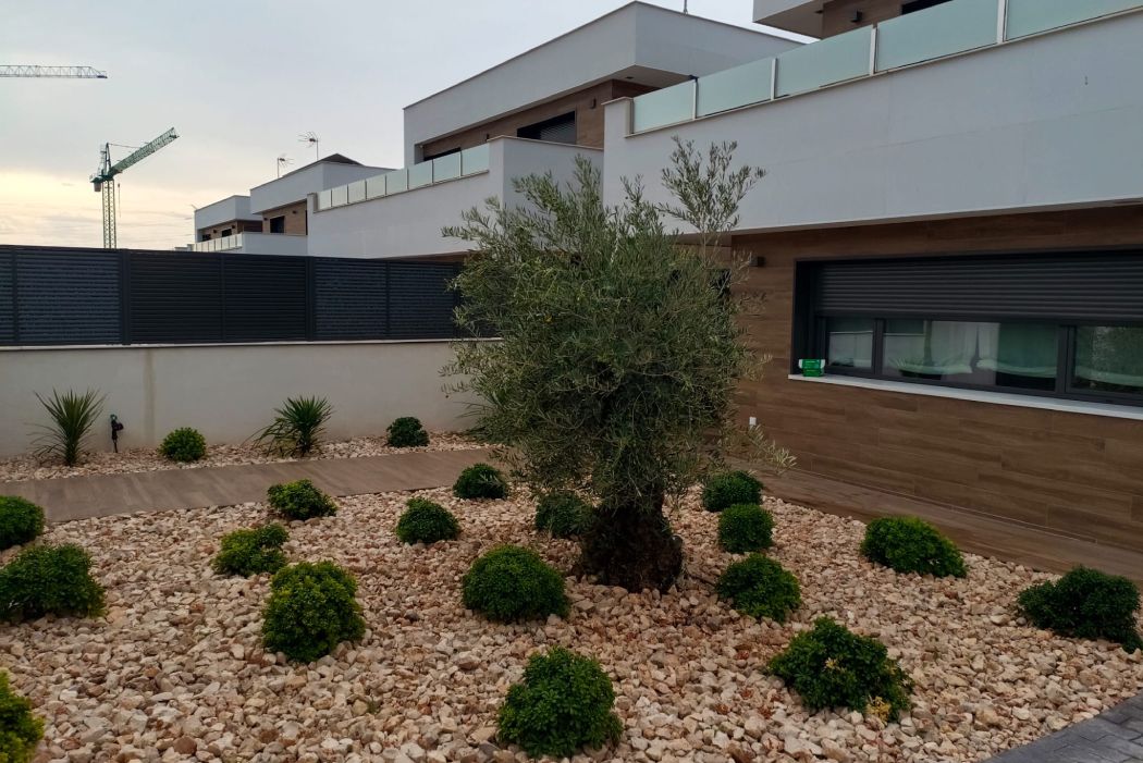 rocalla jardin alpino