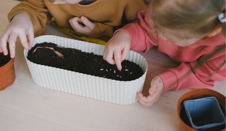 cómo sembrar semillas en macetas