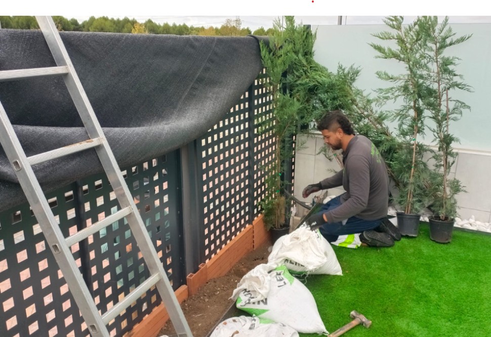 preparar el jardin para el verano