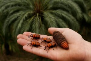 endoterapia palmera picudo rojo