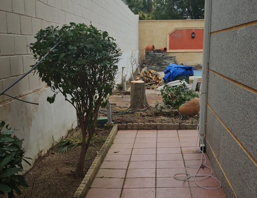 cortar troncos con motosierra